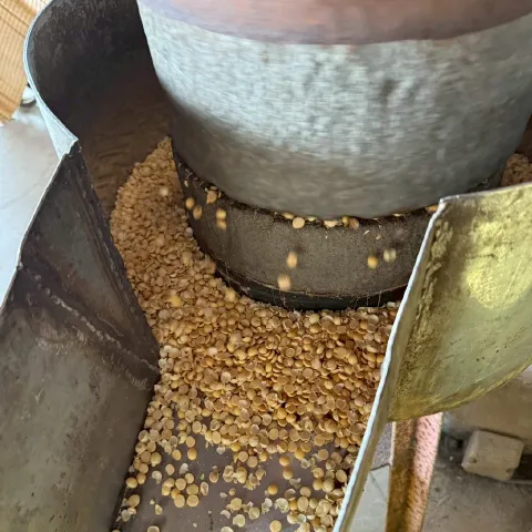 丸富味噌ギャラリー